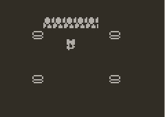 The fox lightning up the room